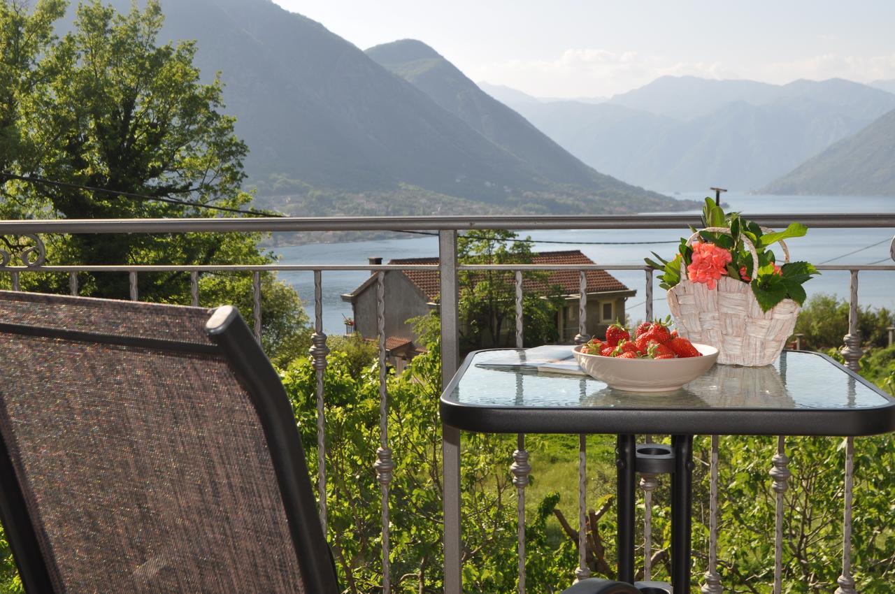 Apartment Maritimo Kotor Exteriér fotografie